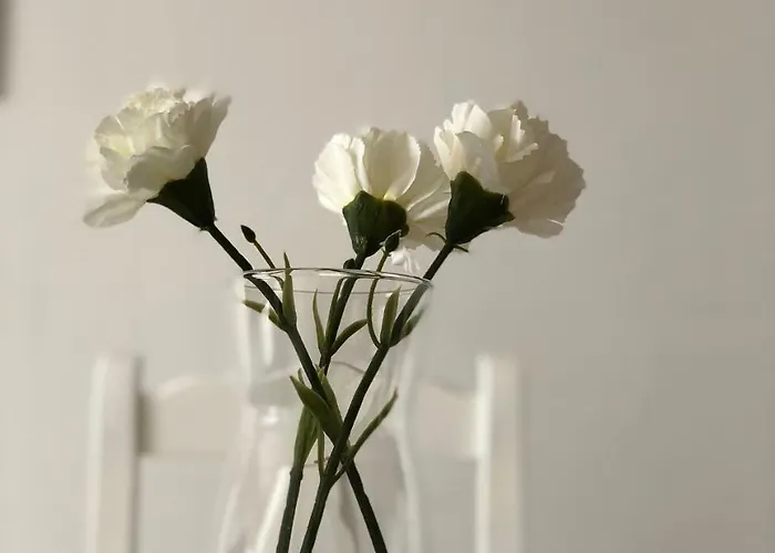 Ajabo Adeje Апартаменти Адехе